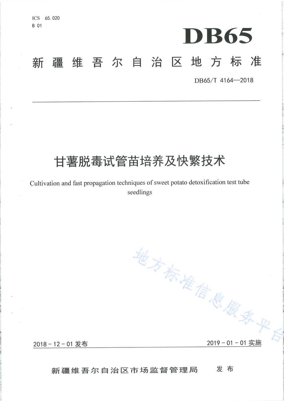 甘薯脱毒试管苗培养及快繁技术DB65／T 4164-2018.pdf_第1页