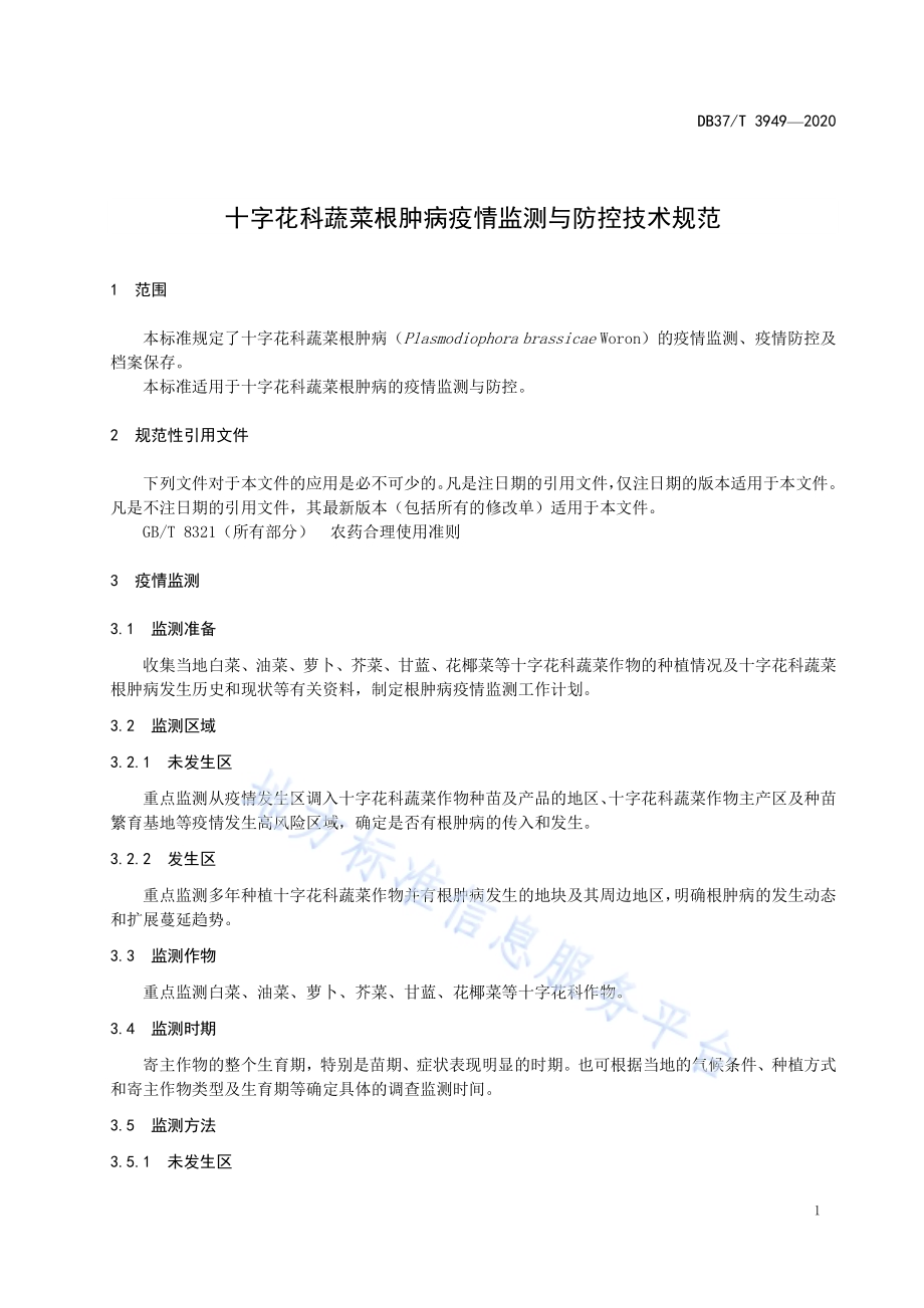 十字花科蔬菜根肿病疫情监测与防控技术规范DB37／T 3949—2020.pdf_第3页