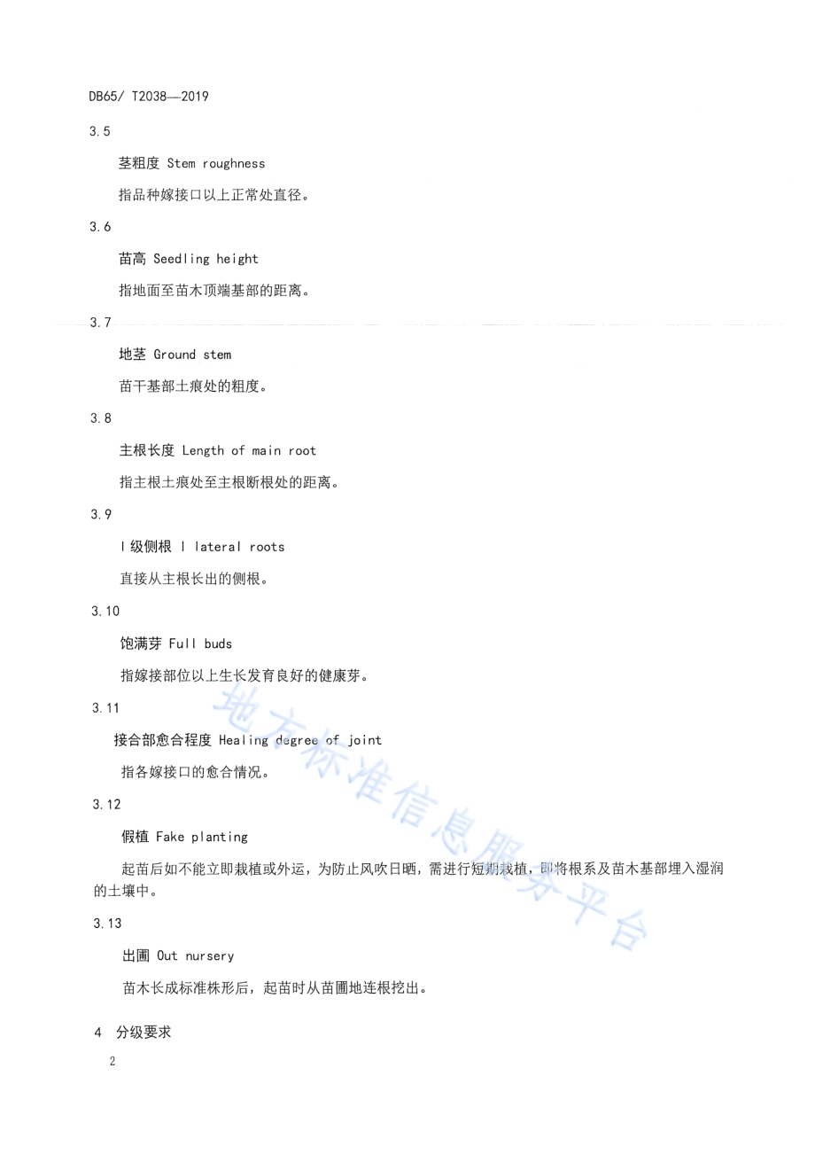 核桃苗木DB65／T 2038-2019.pdf_第4页