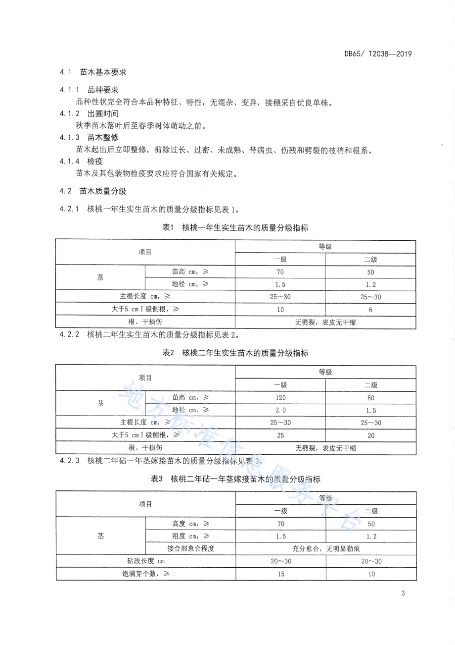 核桃苗木DB65／T 2038-2019.pdf_第5页