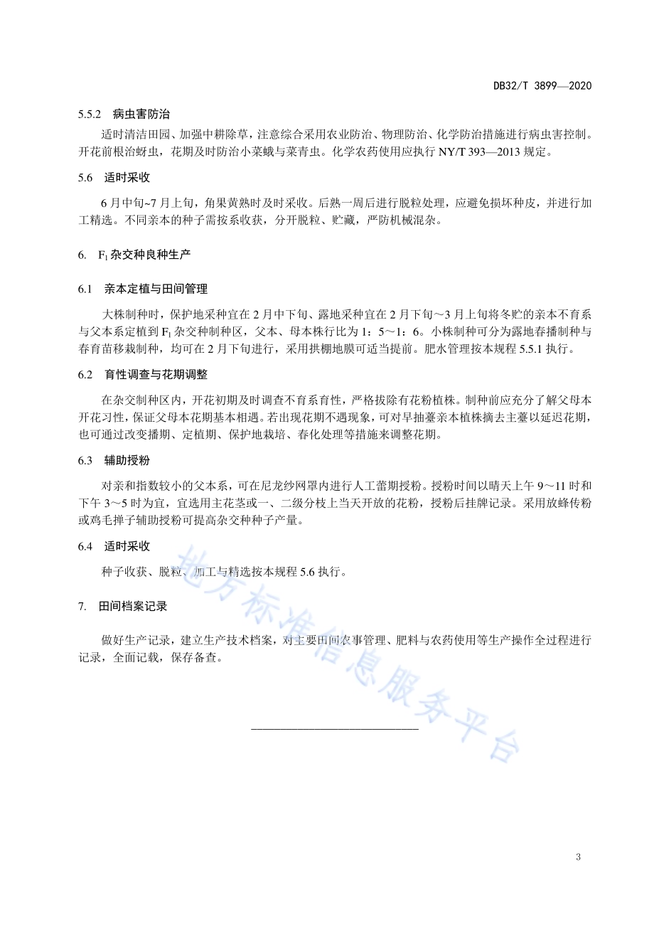 萝卜F1杂交种种子良繁技术规程DB32／T 3899—2020.pdf_第5页
