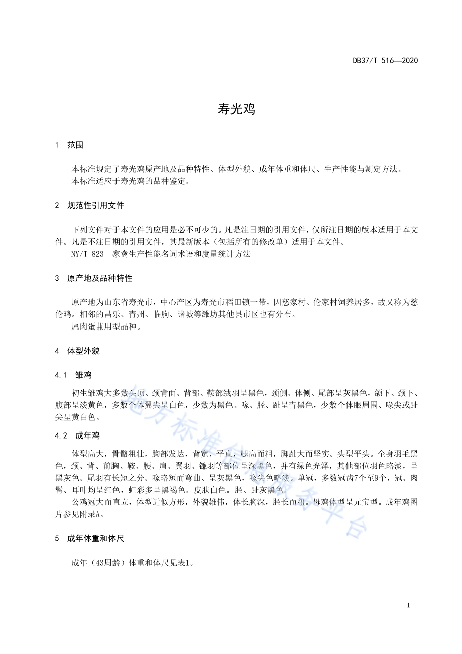 寿光鸡DB37／T 516—2020.pdf_第5页