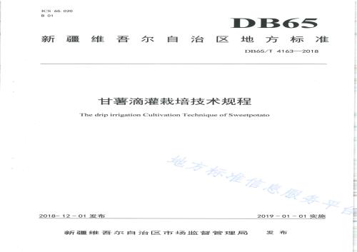 甘薯滴灌栽培技术规程DB65／T 4163-2018.pdf