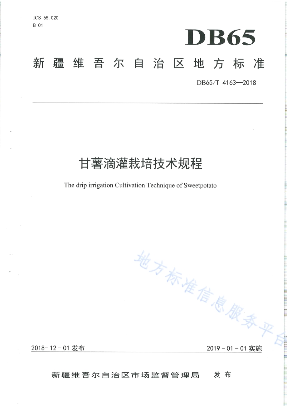 甘薯滴灌栽培技术规程DB65／T 4163-2018.pdf_第1页