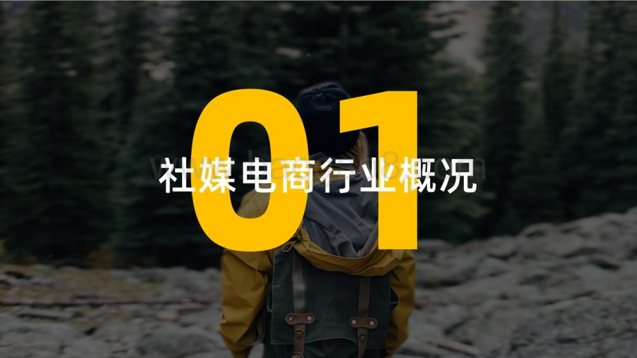 20231110_果集飞瓜_冲锋衣行业品牌社媒电商营销洞察研究报告_28页.pdf_第4页