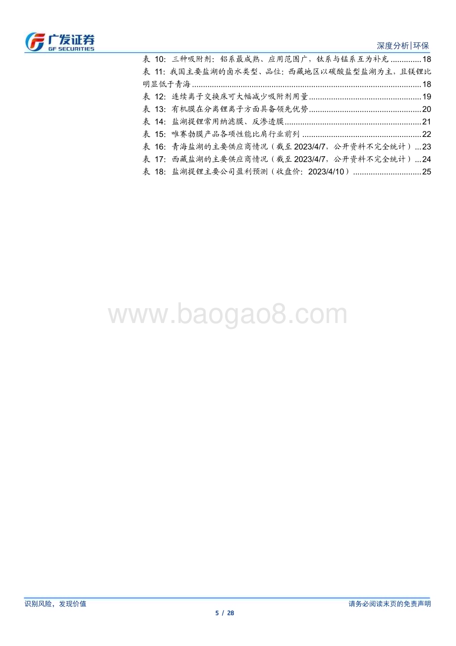 20230410_广发证券_环保行业证券研究报告：盐湖提锂技术系列_29页.pdf_第5页