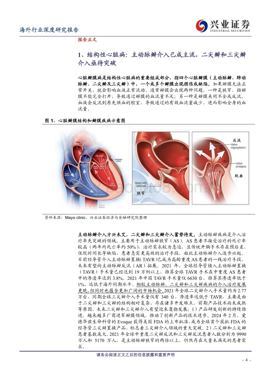 20240410_兴业证券_二尖瓣、三尖瓣治疗行业深度：蓝海市场亟待发掘置换进展值得期待_35页.pdf_第4页