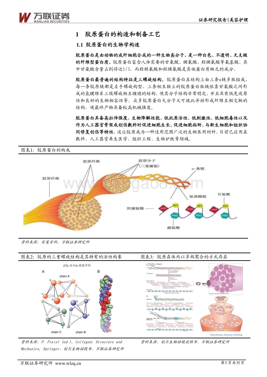 20230327_万联证券_美容护理行业证券研究报告：胶原新生千亿赛道未来可期_34页.pdf_第5页