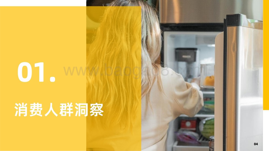 20240327_果集行研_冰箱行业社媒电商爆品洞察_33页.pdf_第5页