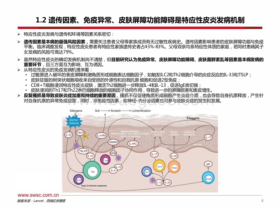 20240126_西南证券_医药行业：特应性皮炎药物国产替代将至_50页.pdf_第5页
