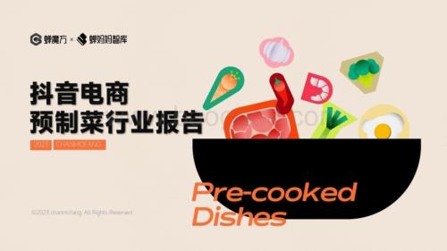20231116_蝉妈妈智库_抖音电商预制菜行业报告_32页.pdf