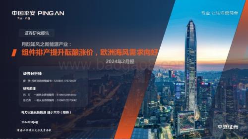 20240306_平安证券_电力设备及新能源行业：月酝知风之新能源产业组件排产提升酝酿涨价欧洲海风需求向好_24页.pdf