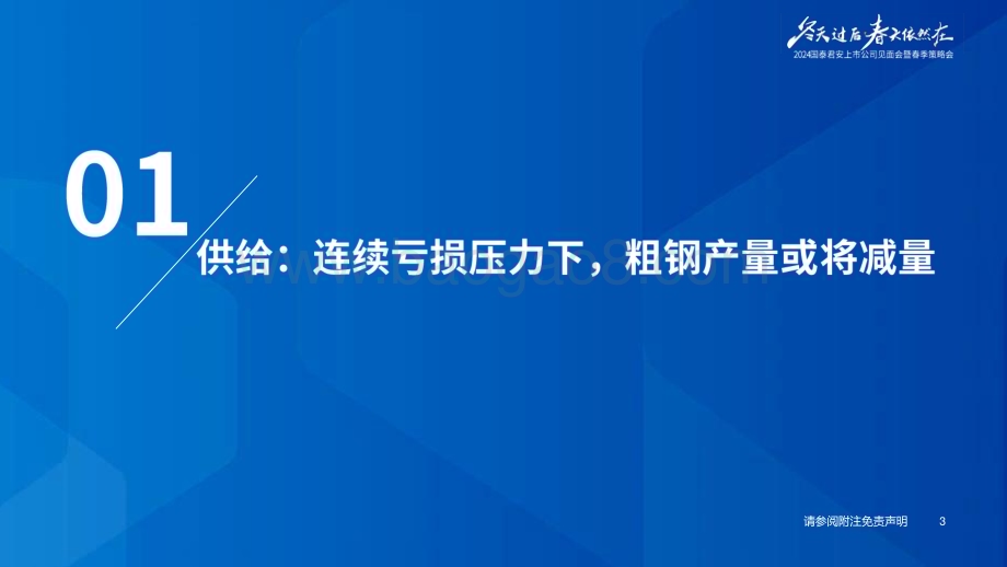 20240416_国泰君安_钢铁行业2024年度春季策略：结构分化优选龙头_63页.pdf_第4页