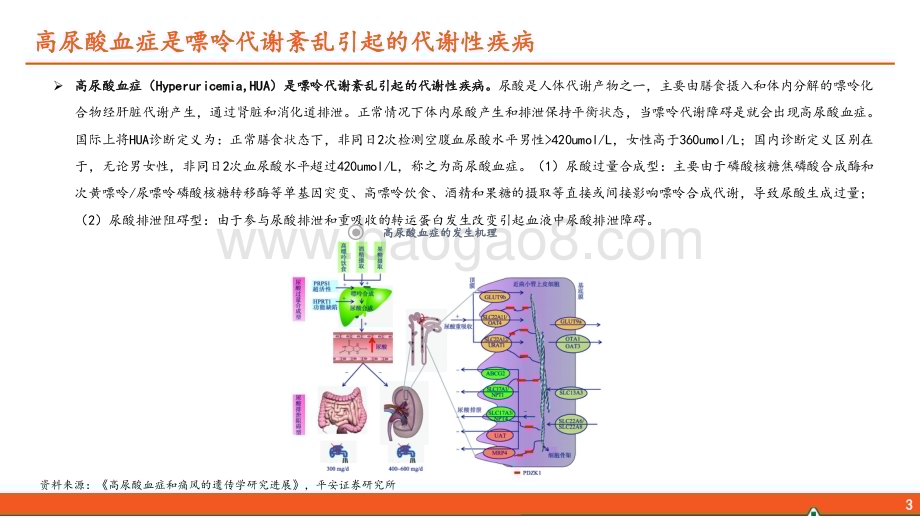 20240301_平安证券_医药行业：高尿酸血症和痛风行业全景图国内千万痛风患者群体亟待“疗效佳安全优”新药_45页.pdf_第4页