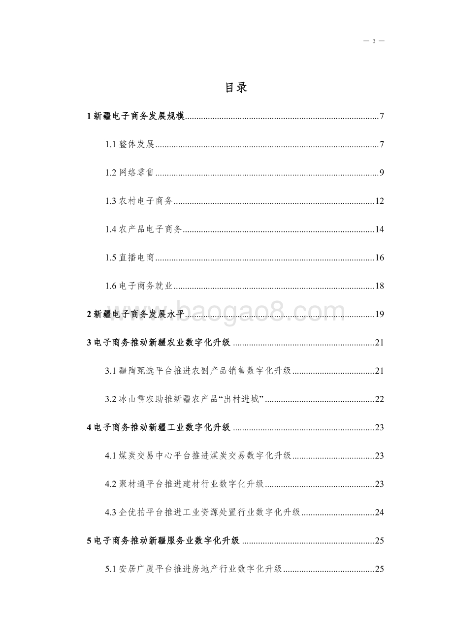 20240227_新疆大学_新疆电子商务行业发展研究报告 （2023）_37页.pdf_第3页