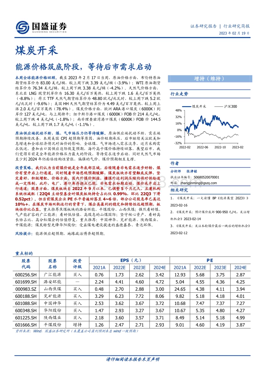 20230219_国盛证券_煤炭开采行业证券研究报告：能源价格筑底阶段等待后市需求启动_14页.pdf_第1页