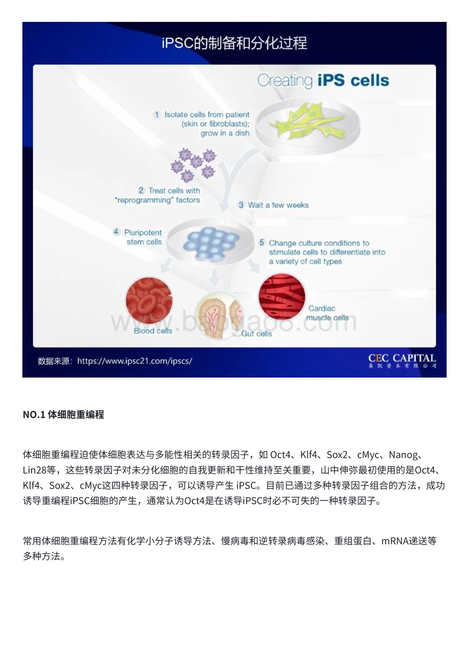 20240129_易凯资本_医药生物行业：诱导多能干细胞（iPSC）的市场图景与增长潜力_23页.pdf_第4页