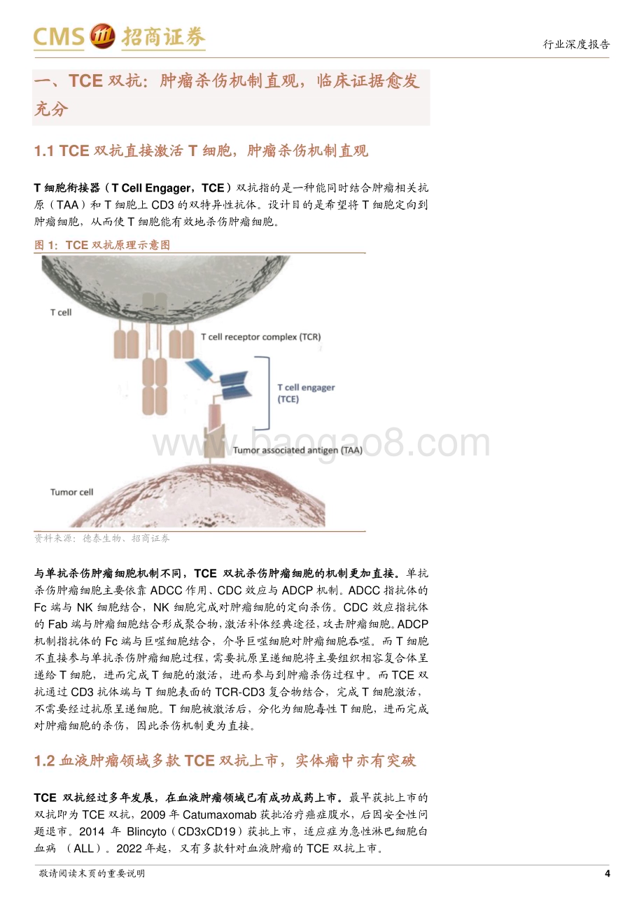 20240322_招商证券_创新药系列报告（四）_TCE双抗行业深度：结构设计映射临床疗效实体瘤适应症有所突破_20页.pdf_第4页