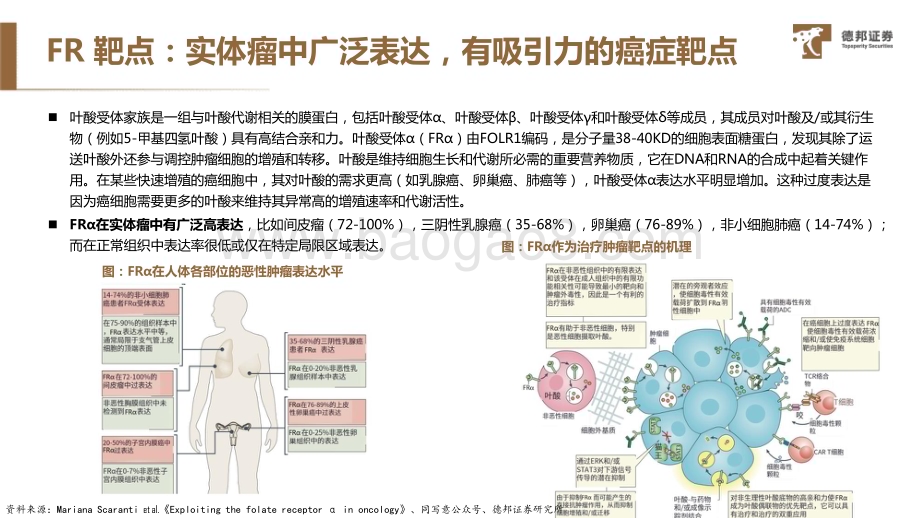 20240424_德邦证券_医药行业靶点图鉴系列报告：交易频频叶酸受体（FRα）ADC有什么魅力？_24页.pdf_第5页