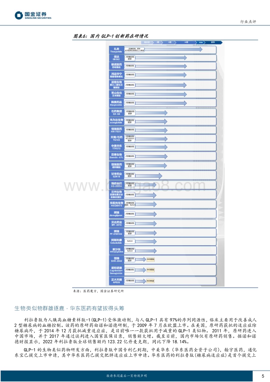 20230213_国金证券_医药健康行业证券研究报告：GLP_1市场规模持续扩大国内药物进展迅速_15页.pdf_第5页