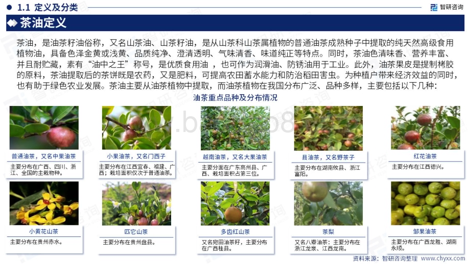 20240128_智研咨询_食品饮料行业：2023年中国茶油产业现状、问题及发展对策研究报告_58页.pdf_第4页