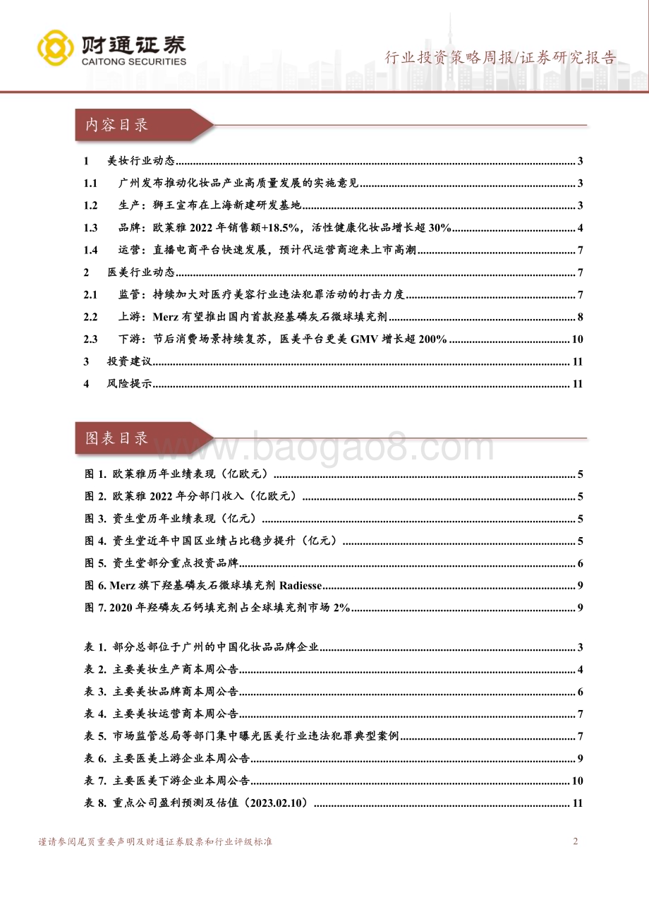 20230213_财通证券_美容护理行业证券研究报告：欧莱雅22年收入增长19%医美消费持续修复_13页.pdf_第2页