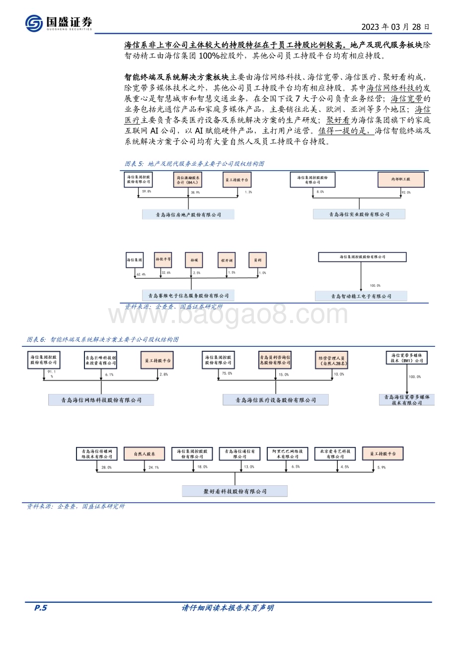 20230328_国盛证券_家用电器行业证券研究报告：海信系专题系列二_14页.pdf_第5页