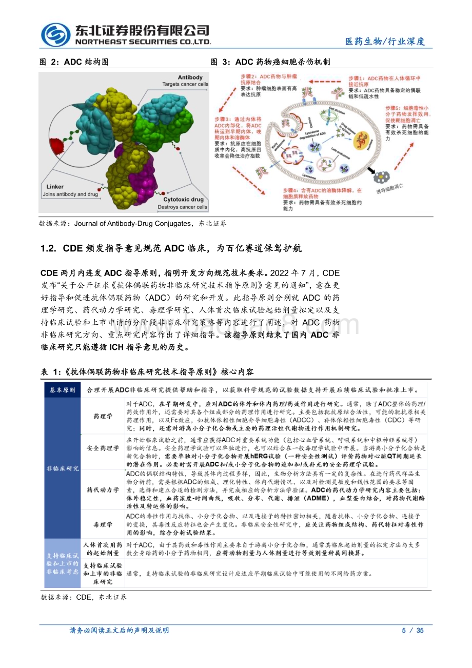 20230331_东北证券_ADC行业证券研究报告：肿瘤治疗新时代ADC赛道井喷式发展_36页.pdf_第5页