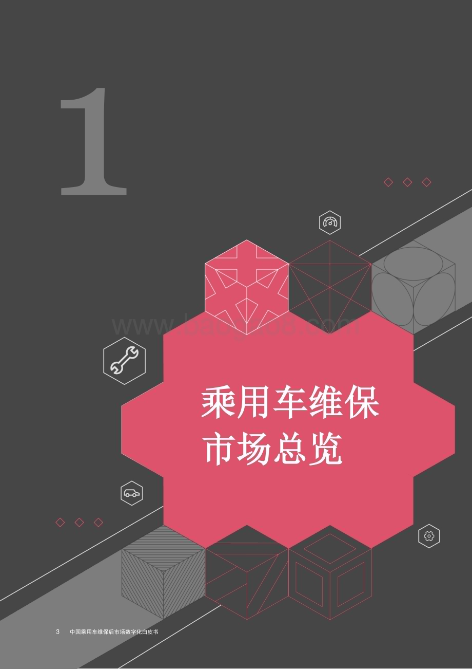 20240306_普华永道_中国乘用车行业维保后市场数字化白皮书_36页.pdf_第4页