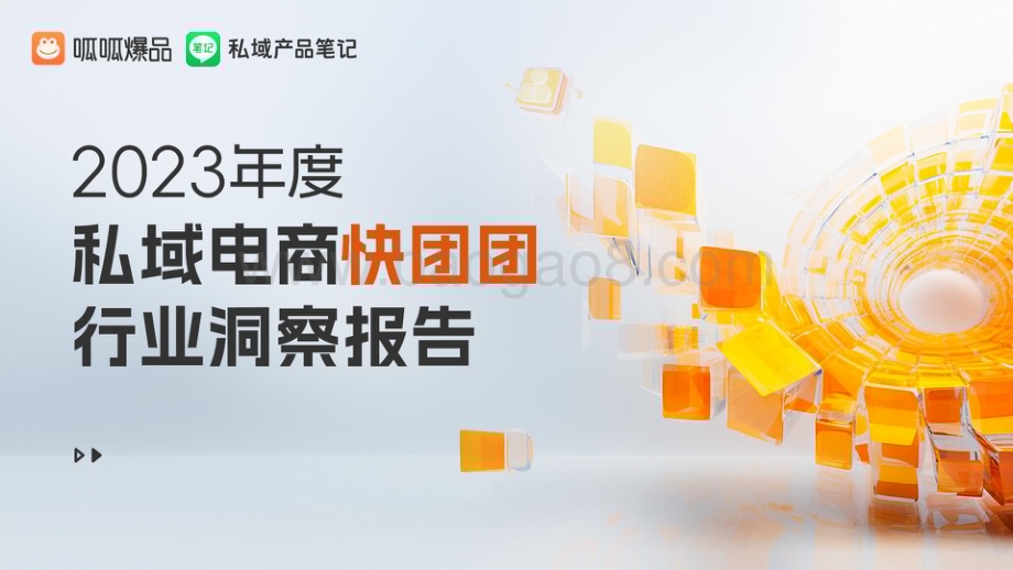 20240422_呱呱爆品_2023年度私域电商快团团行业洞察报告_34页.pdf_第1页