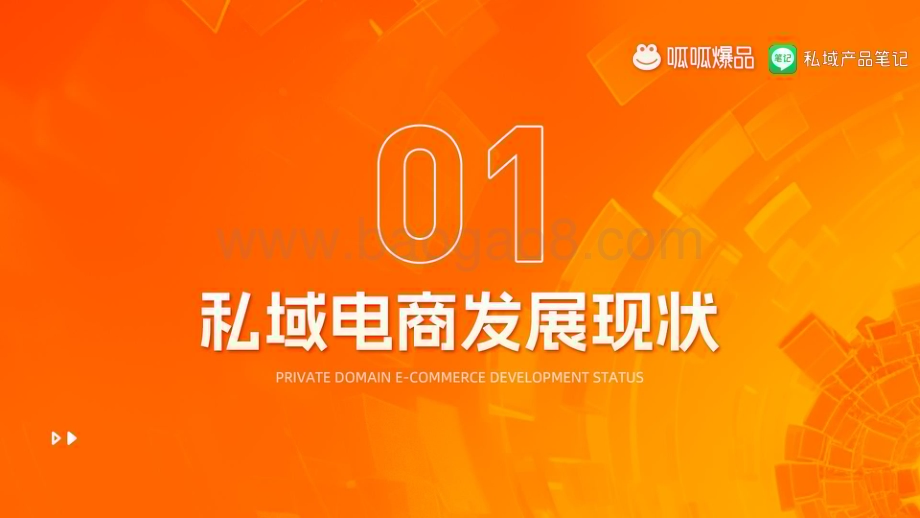 20240422_呱呱爆品_2023年度私域电商快团团行业洞察报告_34页.pdf_第3页