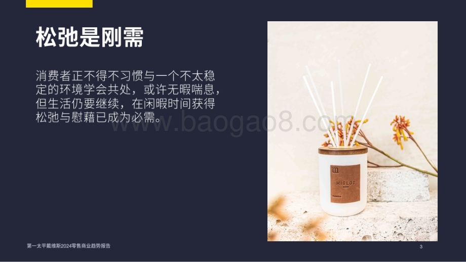 20240224_第一太平戴维斯_零售行业：2024零售商业趋势_25页.pdf_第3页
