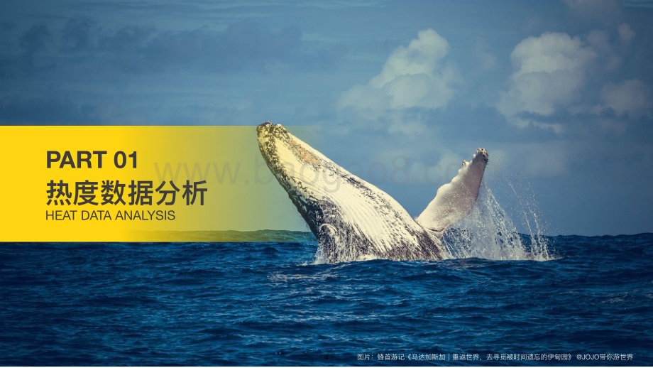 20231130_马蜂窝_2023年旅游行业大数据系列报告：重返世界_55页.pdf_第4页