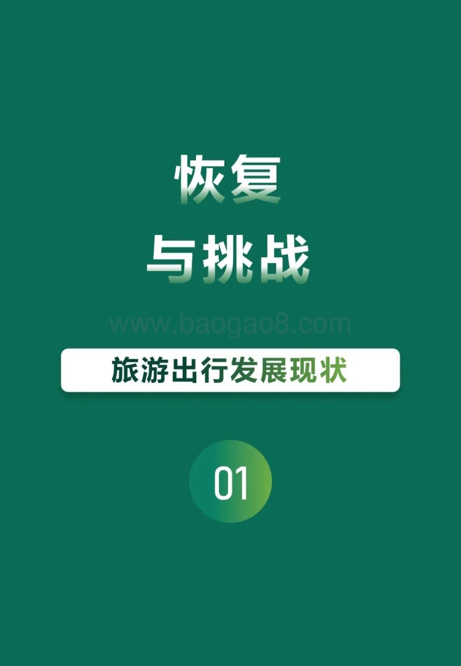 20231219_新生代市场监测机构_旅游行业2023高端人群的旅行新风尚：风向引领者_33页.pdf_第5页