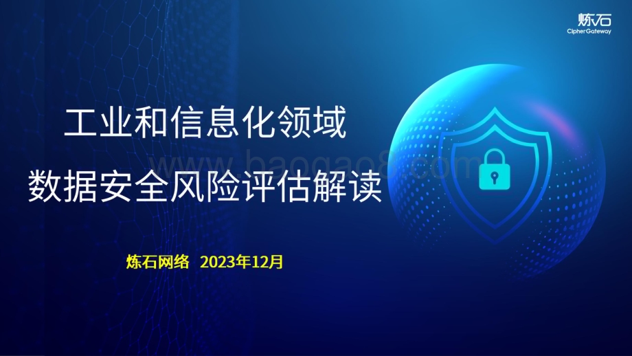 20231212_炼石网络_工业和信息化领域数据行业：工业和信息化领域数据安全风险评估解读_103页.pdf_第1页