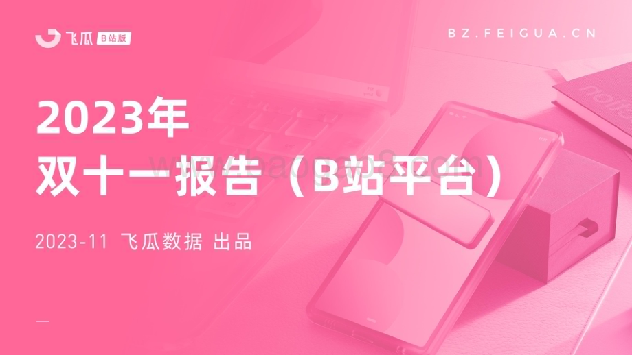 20231130_飞瓜数据_消费行业：2023年双十一报告（B站平台）_31页.pdf_第1页