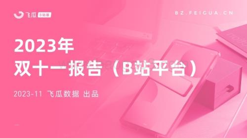 20231130_飞瓜数据_消费行业：2023年双十一报告（B站平台）_31页.pdf