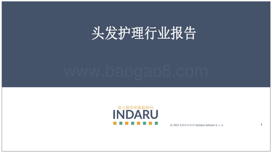 20231207_Indaru_2023全球护发行业报告（英译中）_79页.pdf_第1页
