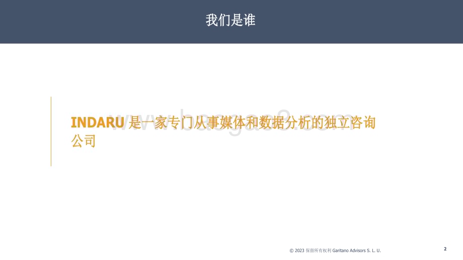 20231207_Indaru_2023全球护发行业报告（英译中）_79页.pdf_第2页