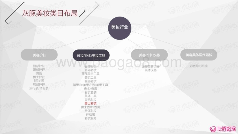 20240104_灰豚数据_2023H1男士彩妆行业营销趋势洞察_33页.pdf_第5页