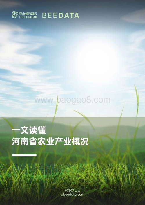 20231129_农小蜂数智云_一文读懂河南省农业产业概况_31页.pdf