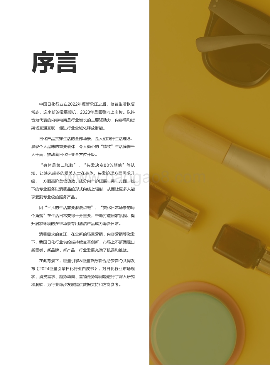 20240104_巨量_2024日化行业白皮书_59页.pdf_第2页