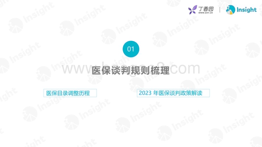 20231226_丁香园&Insight_医药行业：2023年医保谈判分析及展望_48页.pdf_第3页