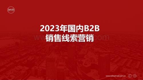 20240104_salesdriver_B2B行业：2023年国内B2B销售线索营销_30页.pdf