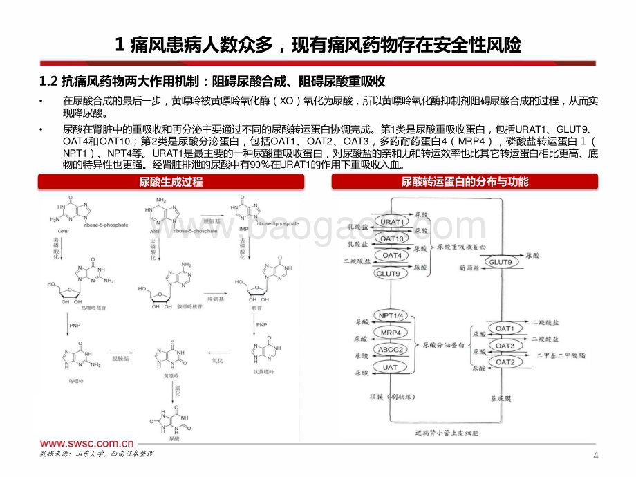 20231206_西南证券_医药行业创新药专题：痛风千万患者大市场有望诞生大单品_40页.pdf_第5页