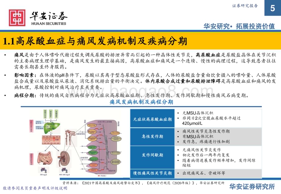20231213_华安证券_医药生物行业—高尿酸及痛风疾病专题：痛风慢病市场崛起创新药物需求猛增_24页.pdf_第5页