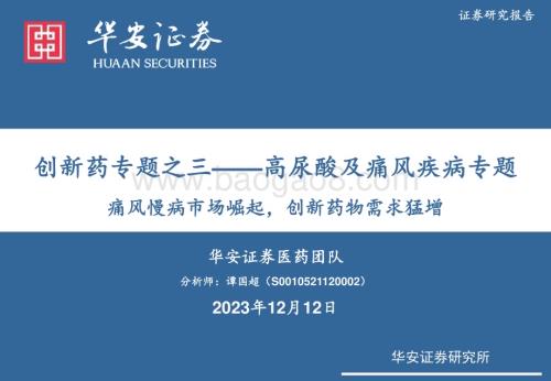 20231213_华安证券_医药生物行业—高尿酸及痛风疾病专题：痛风慢病市场崛起创新药物需求猛增_24页.pdf