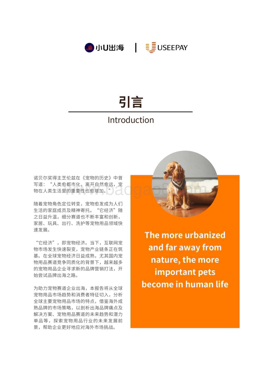 20231225_小U出海&UseePay_电商行业：全球宠物用品电商市场分析_89页.pdf_第2页