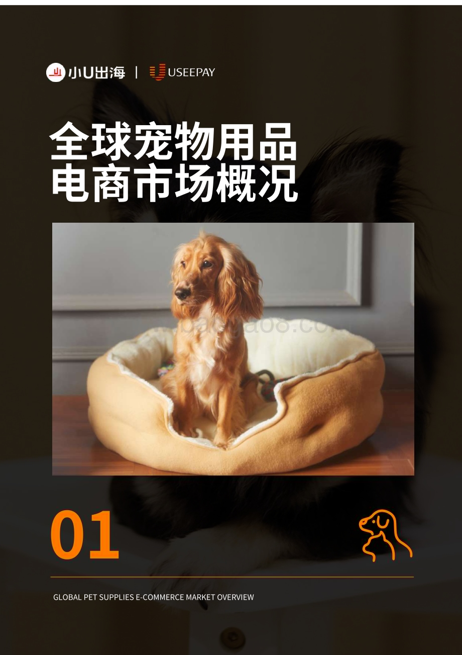 20231225_小U出海&UseePay_电商行业：全球宠物用品电商市场分析_89页.pdf_第4页