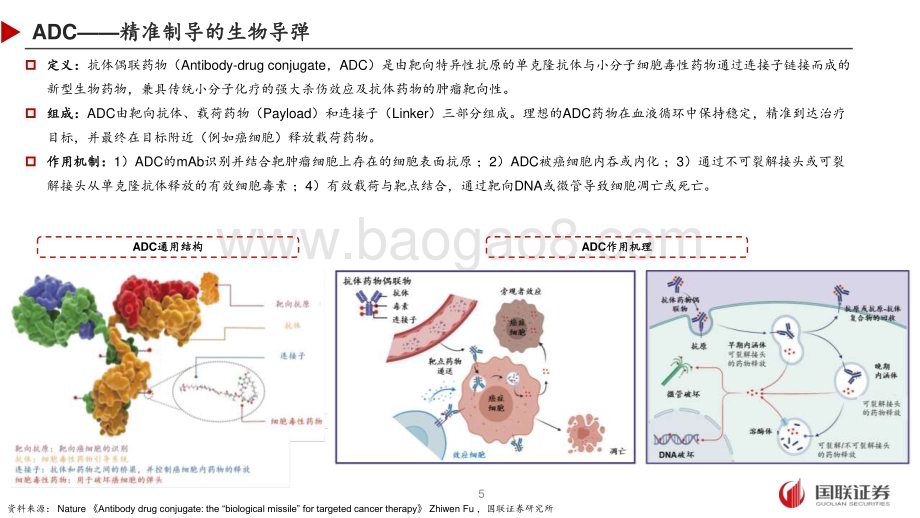 20231227_国联证券_抗体偶联药物行业报告：ADC频频出海兑现聚焦BIC、FIC或差异化优势产品_47页.pdf_第5页